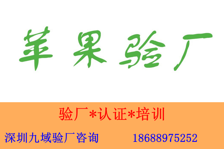 蘋果驗廠